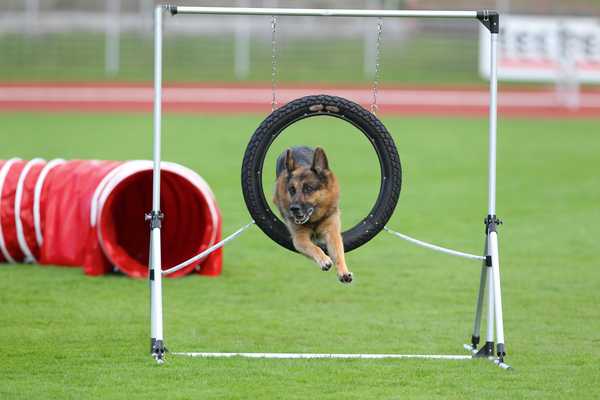 Agility