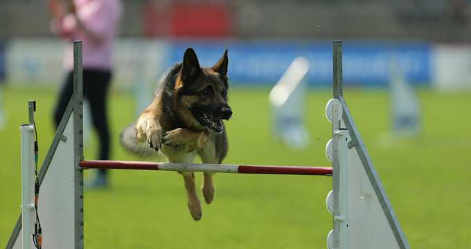 Agility Agility