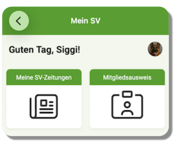 Mein-SV